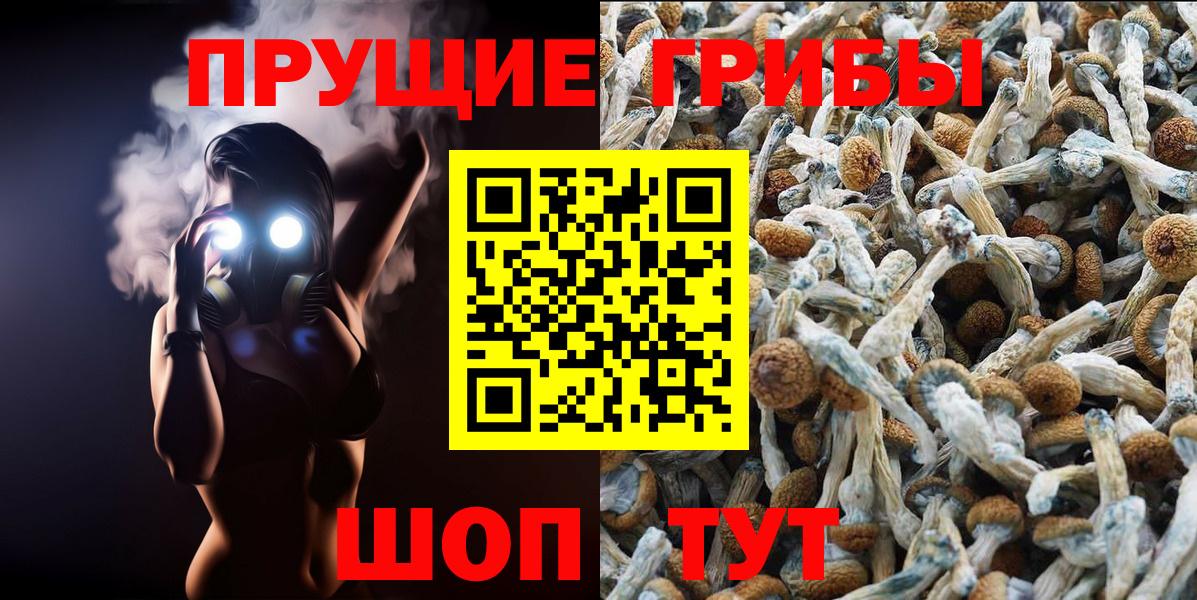 Галлюциногенные грибы мицелий Трёхгорный