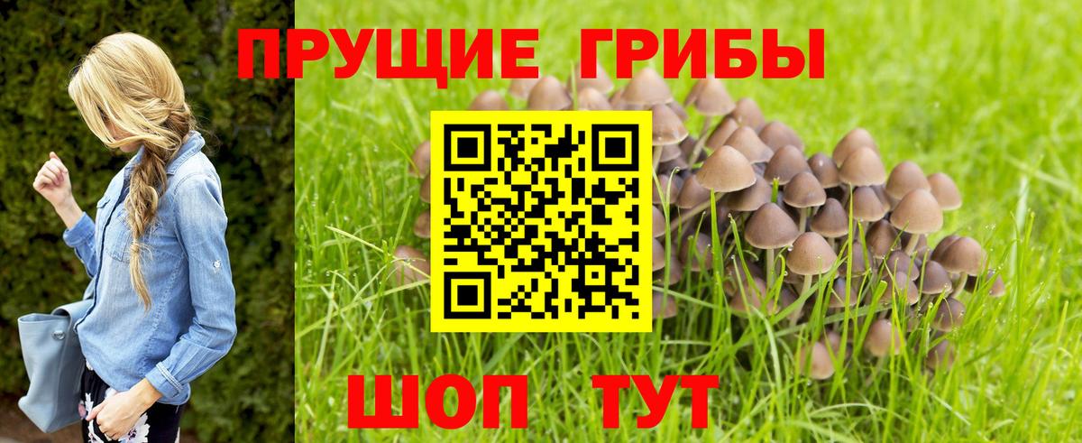 Галлюциногенные грибы Psilocybe  где продают   Трёхгорный  Вход с VPN  Галлюциногенные грибы мухоморы 